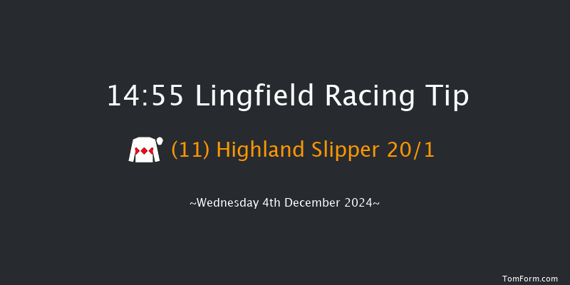 Lingfield  14:55 Handicap (Class 6) 12f Tue 3rd Dec 2024