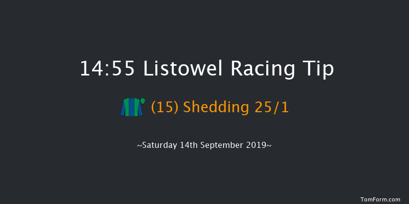 Listowel 14:55 Handicap Hurdle 20f Fri 13th Sep 2019
