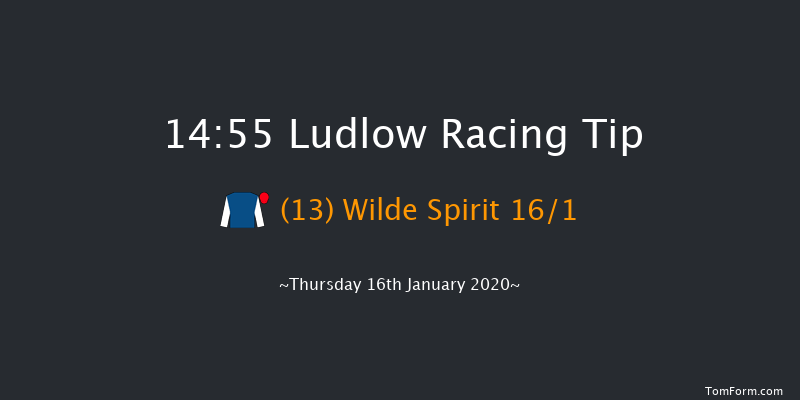 Ludlow 14:55 Handicap Hurdle (Class 3) 24f Wed 8th Jan 2020