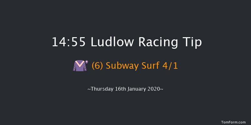 Ludlow 14:55 Handicap Hurdle (Class 3) 24f Wed 8th Jan 2020