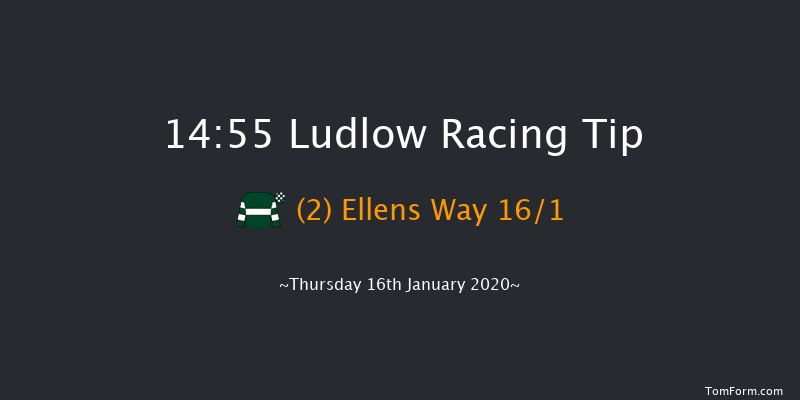 Ludlow 14:55 Handicap Hurdle (Class 3) 24f Wed 8th Jan 2020