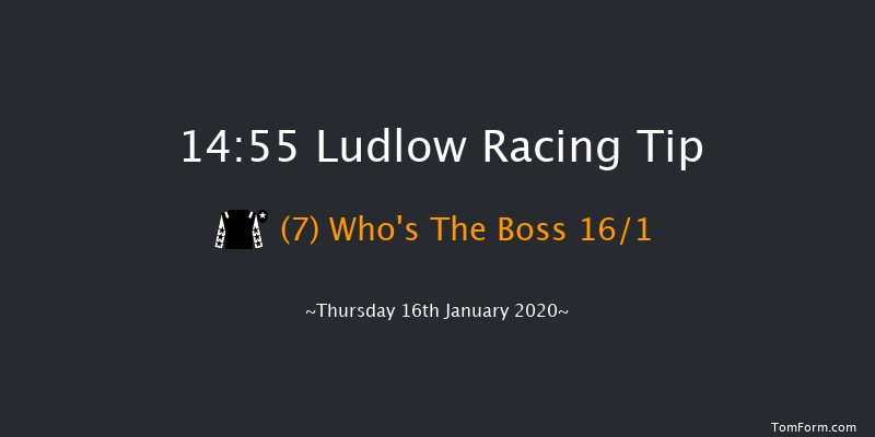 Ludlow 14:55 Handicap Hurdle (Class 3) 24f Wed 8th Jan 2020