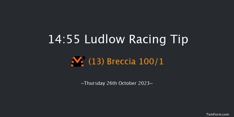 Ludlow 14:55 Maiden Hurdle (Class 4) 16f Wed 11th Oct 2023