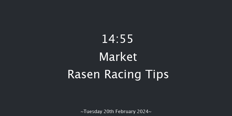 Market Rasen  14:55
Maiden Hurdle (Class 4) 17f Tue 6th Feb 2024