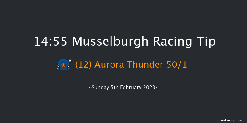 Musselburgh 14:55 Handicap Hurdle (Class 2) 24f Sat 4th Feb 2023