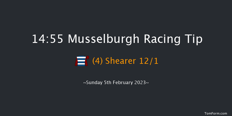 Musselburgh 14:55 Handicap Hurdle (Class 2) 24f Sat 4th Feb 2023