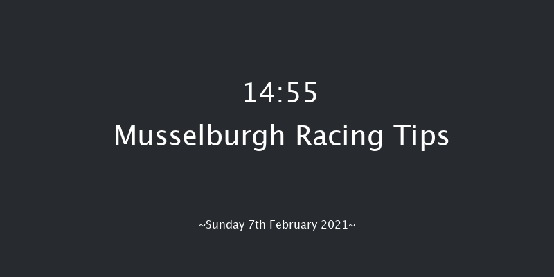 Pertemps Network Group Handicap Hurdle Musselburgh 14:55 Handicap Hurdle (Class 2) 26f Sat 6th Feb 2021