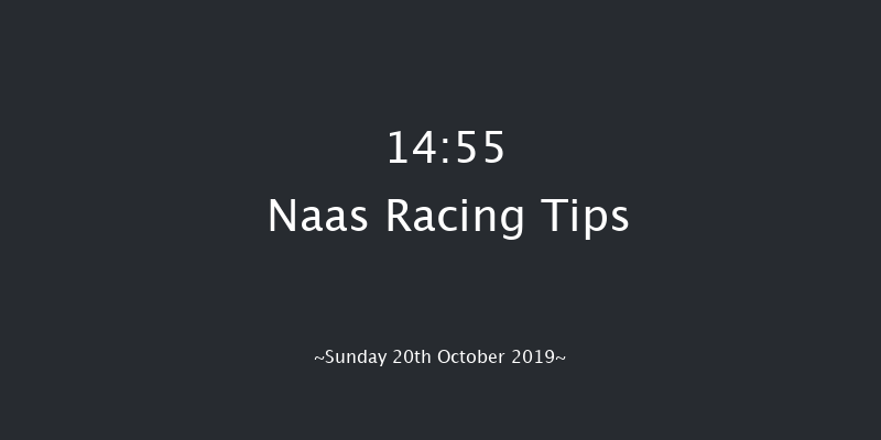 Naas 14:55 Stakes 7f Wed 18th Sep 2019