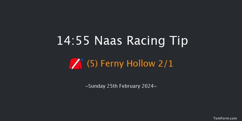 Naas  14:55 Conditions Chase 16f Sat 10th Feb 2024