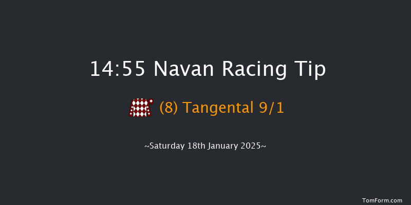 Navan  14:55 Handicap Chase 24f Sun 15th Dec 2024