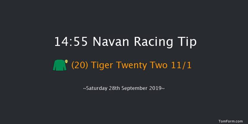 Navan 14:55 Handicap Hurdle 22f Sat 7th Sep 2019