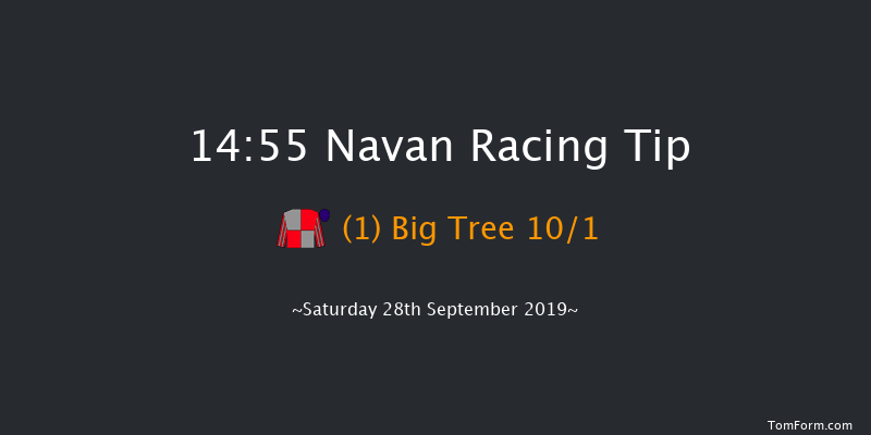 Navan 14:55 Handicap Hurdle 22f Sat 7th Sep 2019