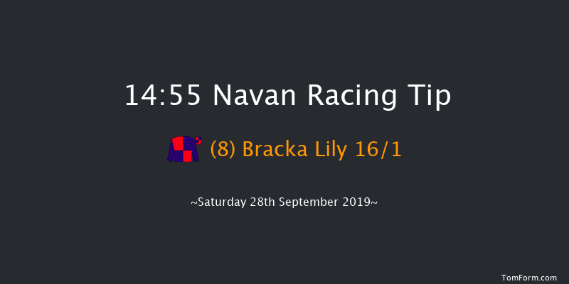 Navan 14:55 Handicap Hurdle 22f Sat 7th Sep 2019