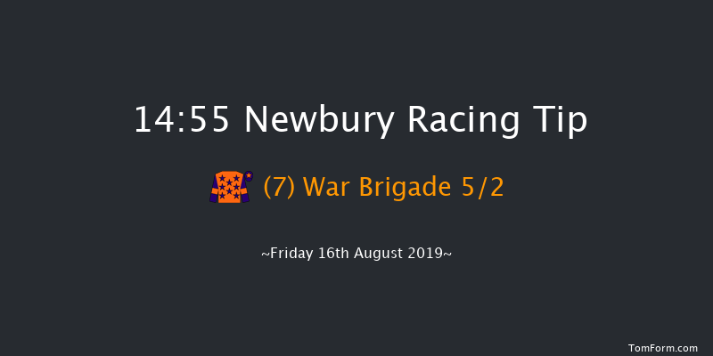 Newbury 14:55 Handicap (Class 3) 13f Tue 6th Aug 2019