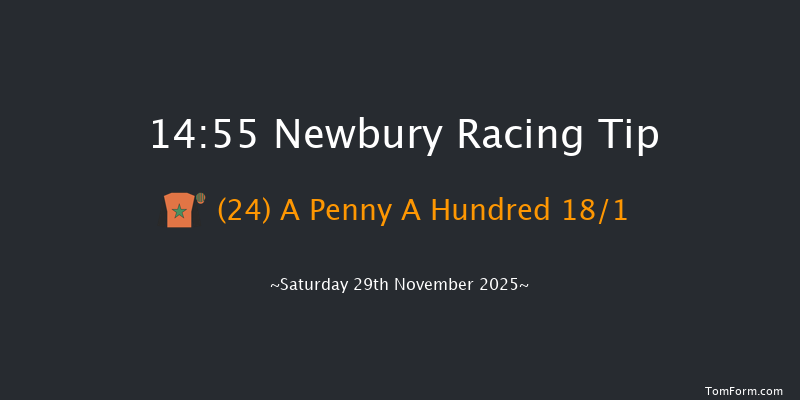 Newbury 14-55 (Class 1) 25f Fri 28th Nov 2025