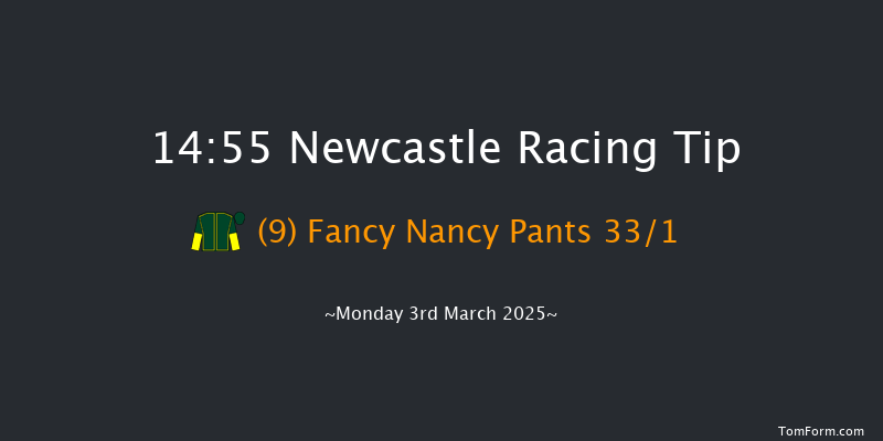 Newcastle  14:55 Handicap Hurdle (Class 5) 20f Sat 1st Mar 2025