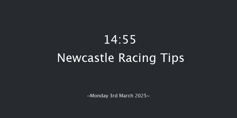 Newcastle  14:55 Handicap Hurdle (Class 5) 20f Sat 1st Mar 2025