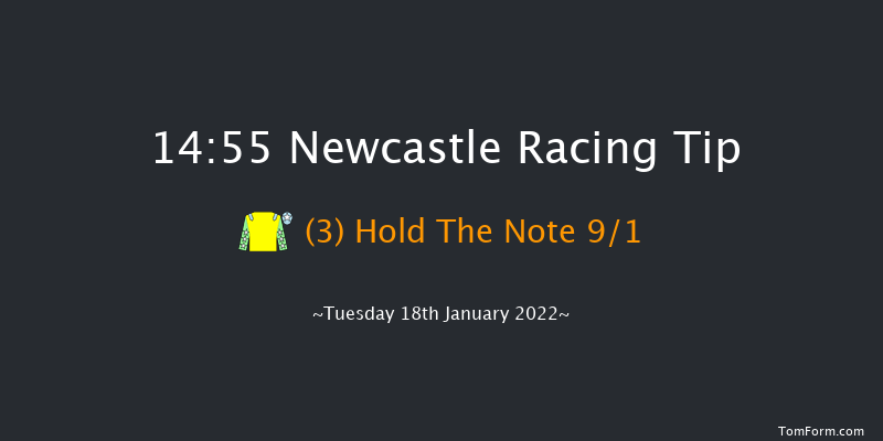 Newcastle 14:55 Handicap Chase (Class 3) 23f Thu 13th Jan 2022