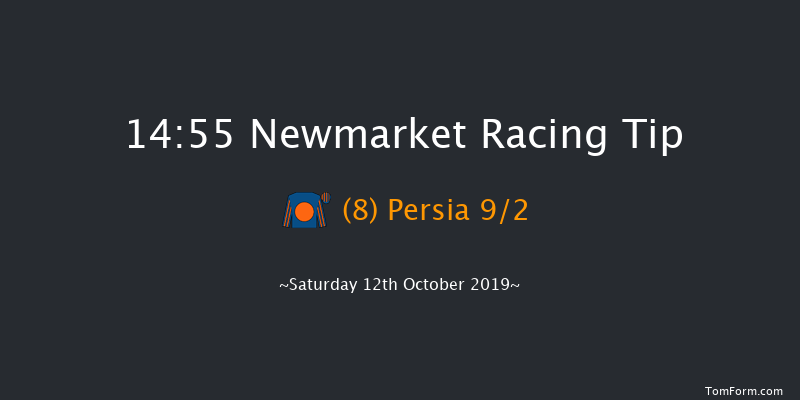 Newmarket 14:55 Group 3 (Class 1) 8f Fri 11th Oct 2019