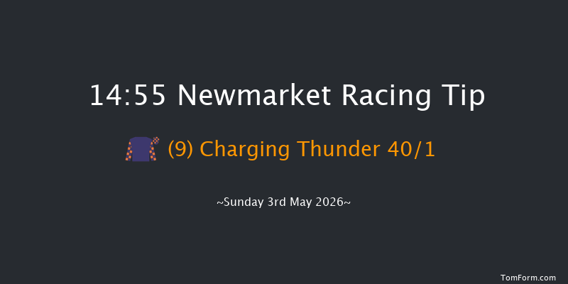 Newmarket 14-55 (Class 2) 15f Sat 2nd May 2026