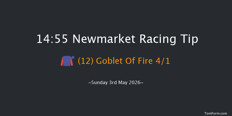 Newmarket 14-55 (Class 2) 15f Sat 2nd May 2026