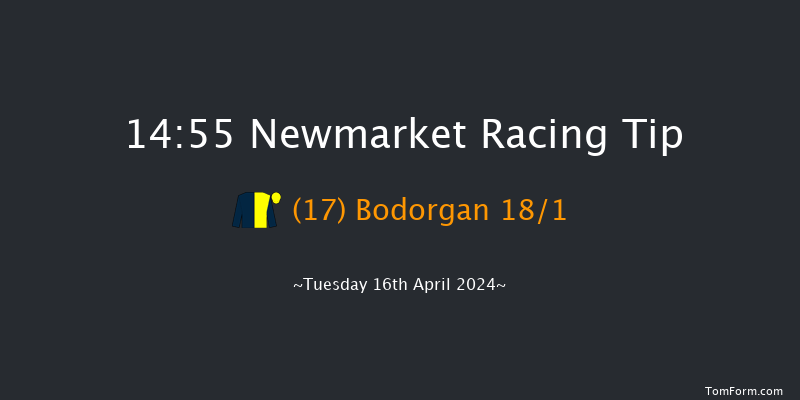 Newmarket  14:55 Handicap (Class 2) 8f Sat 4th Nov 2023