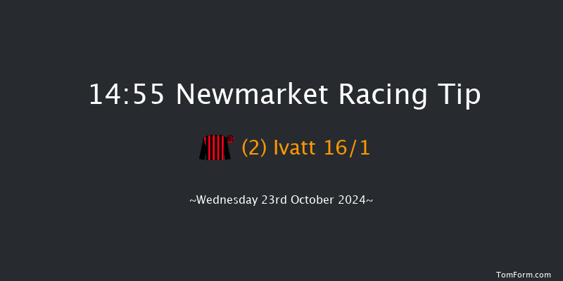 Newmarket  14:55 Maiden (Class 3) 10f Sat 12th Oct 2024