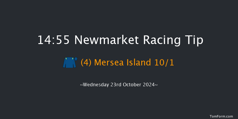Newmarket  14:55 Maiden (Class 3) 10f Sat 12th Oct 2024