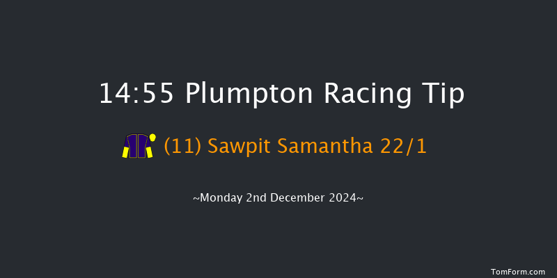 Plumpton  14:55 Handicap Hurdle (Class 5) 20f Mon 18th Nov 2024