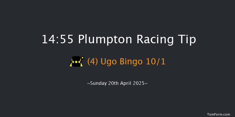 Plumpton 14-55 (Class 4) 17f Sun 6th Apr 2025