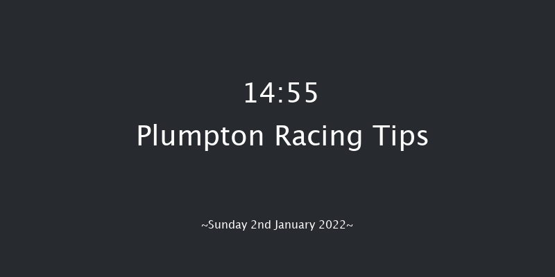Plumpton 14:55 Handicap Chase (Class 4) 20f Tue 21st Dec 2021