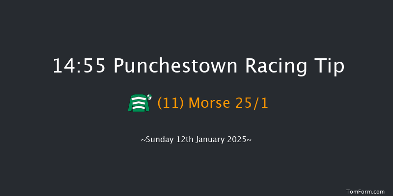 Punchestown  14:55 Maiden Hurdle 17f Tue 31st Dec 2024
