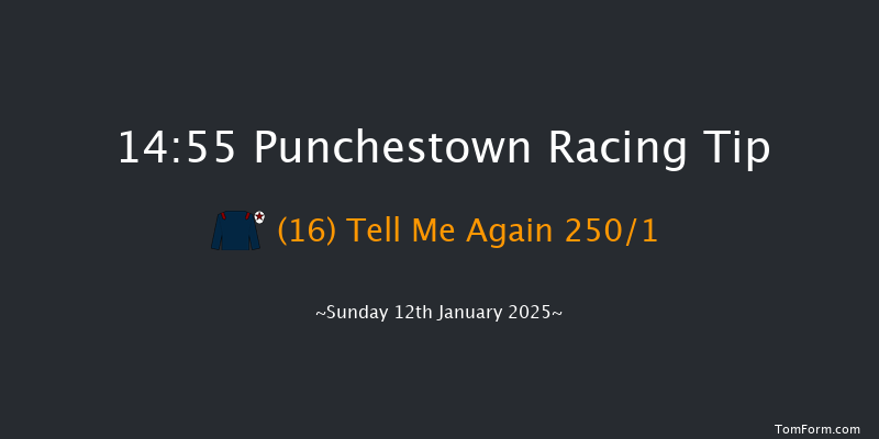Punchestown  14:55 Maiden Hurdle 17f Tue 31st Dec 2024
