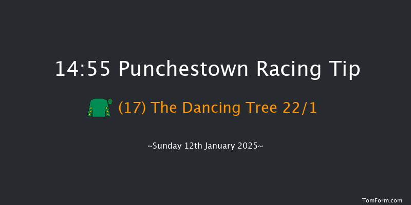 Punchestown  14:55 Maiden Hurdle 17f Tue 31st Dec 2024