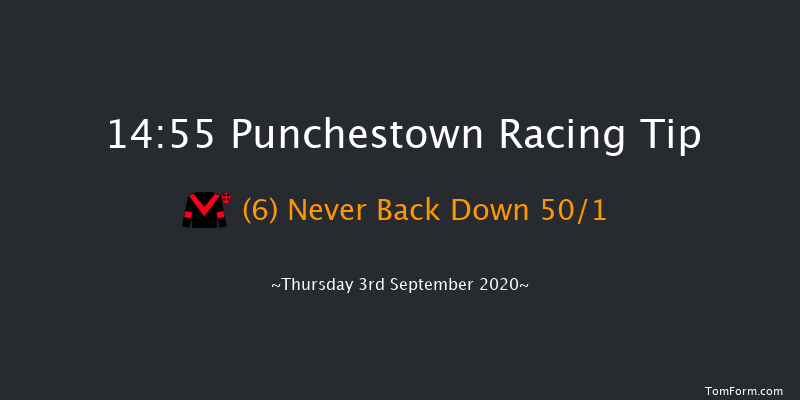 More Than A One Horse Town Handicap (50-75) Punchestown 14:55 Handicap 8f Wed 19th Feb 2020