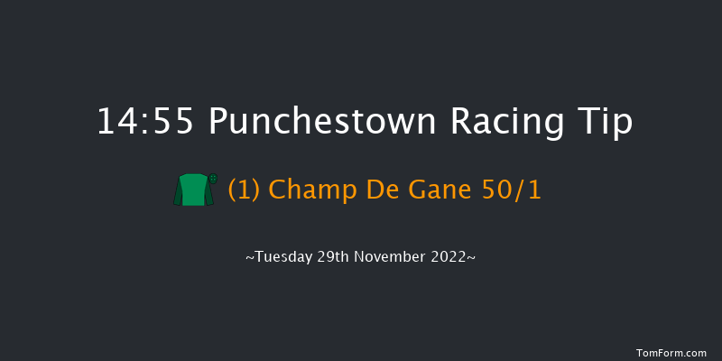Punchestown 14:55 Maiden Hurdle 22f Sun 20th Nov 2022