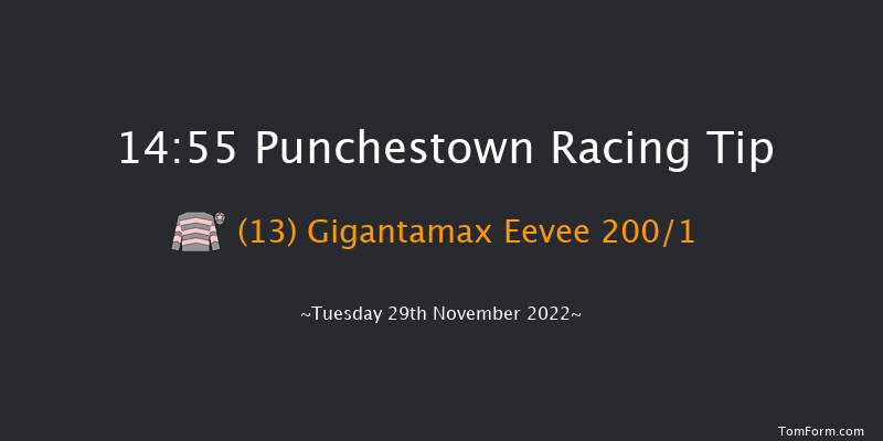 Punchestown 14:55 Maiden Hurdle 22f Sun 20th Nov 2022