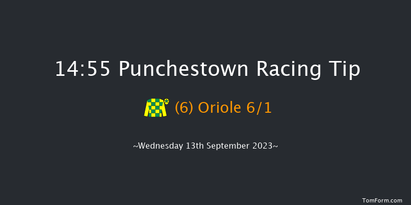 Punchestown 14:55 Stakes 9f Sun 11th Jun 2023