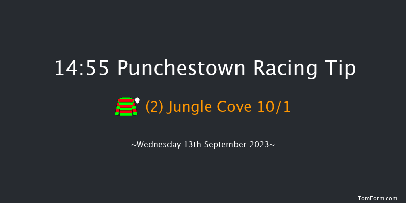 Punchestown 14:55 Stakes 9f Sun 11th Jun 2023