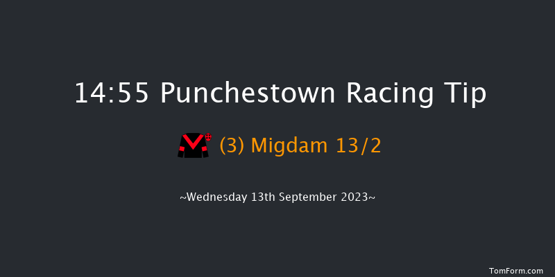 Punchestown 14:55 Stakes 9f Sun 11th Jun 2023