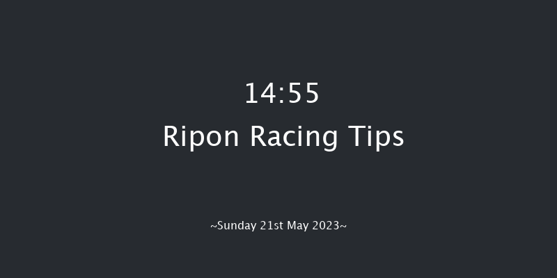 Ripon 14:55 Stakes (Class 4) 6f Fri 12th May 2023