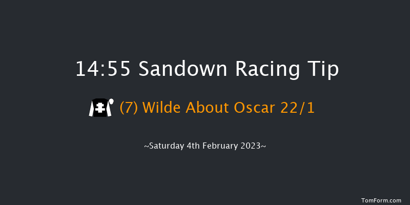 Sandown 14:55 Handicap Hurdle (Class 1) 23f Sat 7th Jan 2023