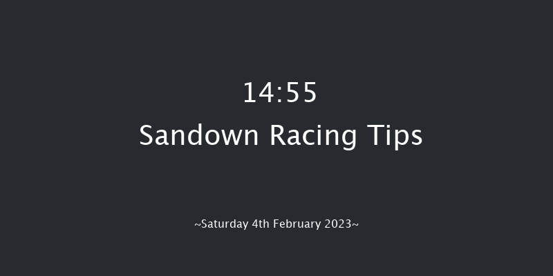 Sandown 14:55 Handicap Hurdle (Class 1) 23f Sat 7th Jan 2023