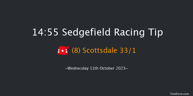 Sedgefield 14:55 Handicap Chase (Class 5) 19f Tue 3rd Oct 2023