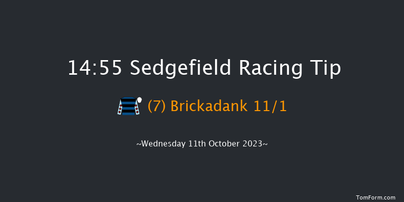 Sedgefield 14:55 Handicap Chase (Class 5) 19f Tue 3rd Oct 2023