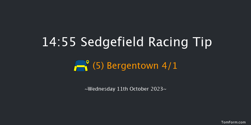 Sedgefield 14:55 Handicap Chase (Class 5) 19f Tue 3rd Oct 2023