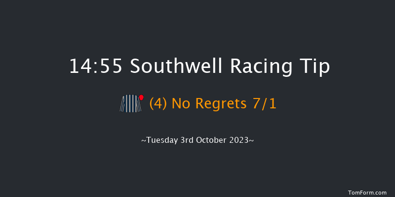 Southwell 14:55 Handicap Chase (Class 4) 24f Thu 28th Sep 2023