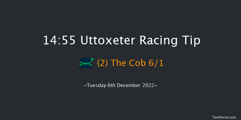 Uttoxeter 14:55 Handicap Chase (Class 3) 20f Sun 20th Nov 2022