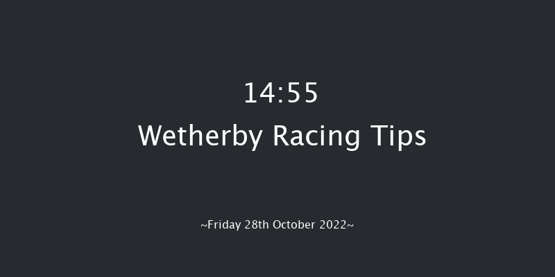 Wetherby 14:55 Conditions Hurdle (Class 1) 16f Wed 12th Oct 2022