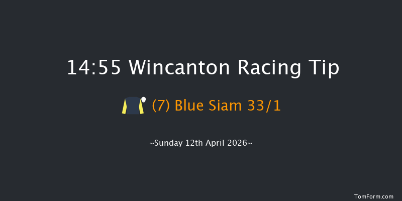 Wincanton 14-55 (Class 4) 15f Wed 1st Apr 2026